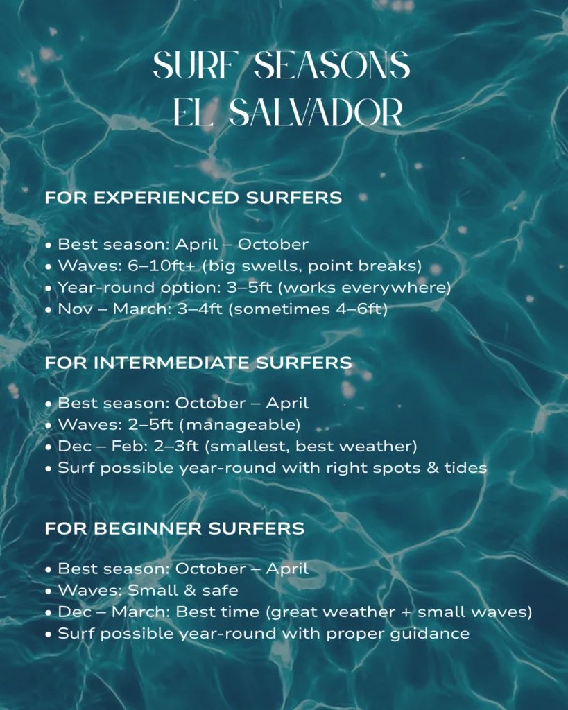 Experienced surfers guide graphic